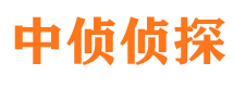 武强市私家侦探